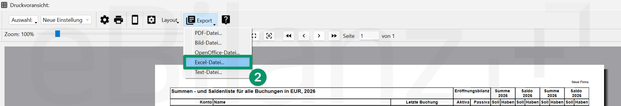 taxpool-druckvoransicht-summen-und-salden.png